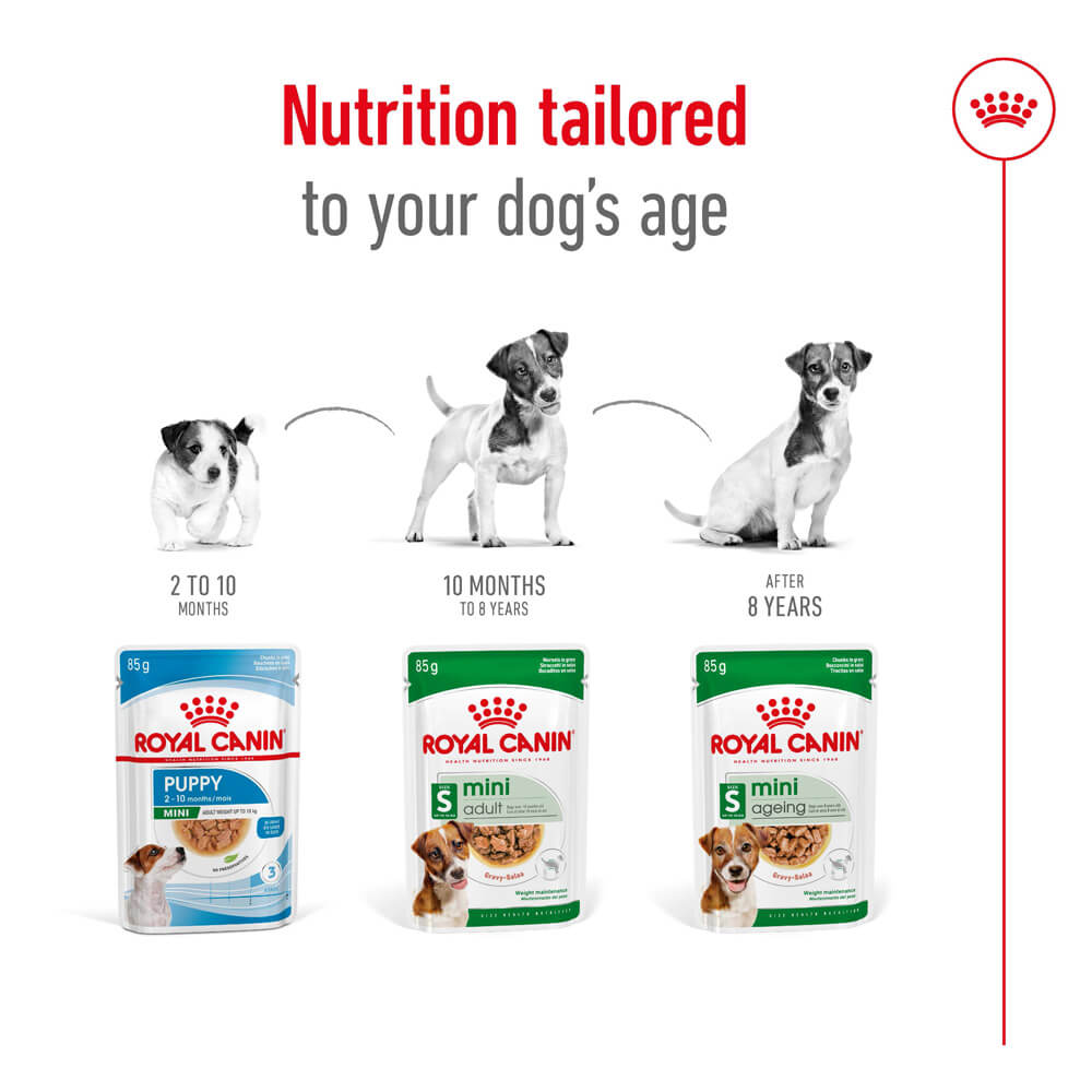 royal canin origin