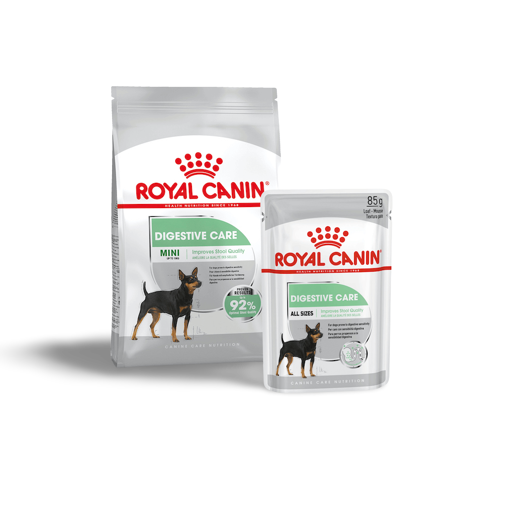 royal canin digestive mini