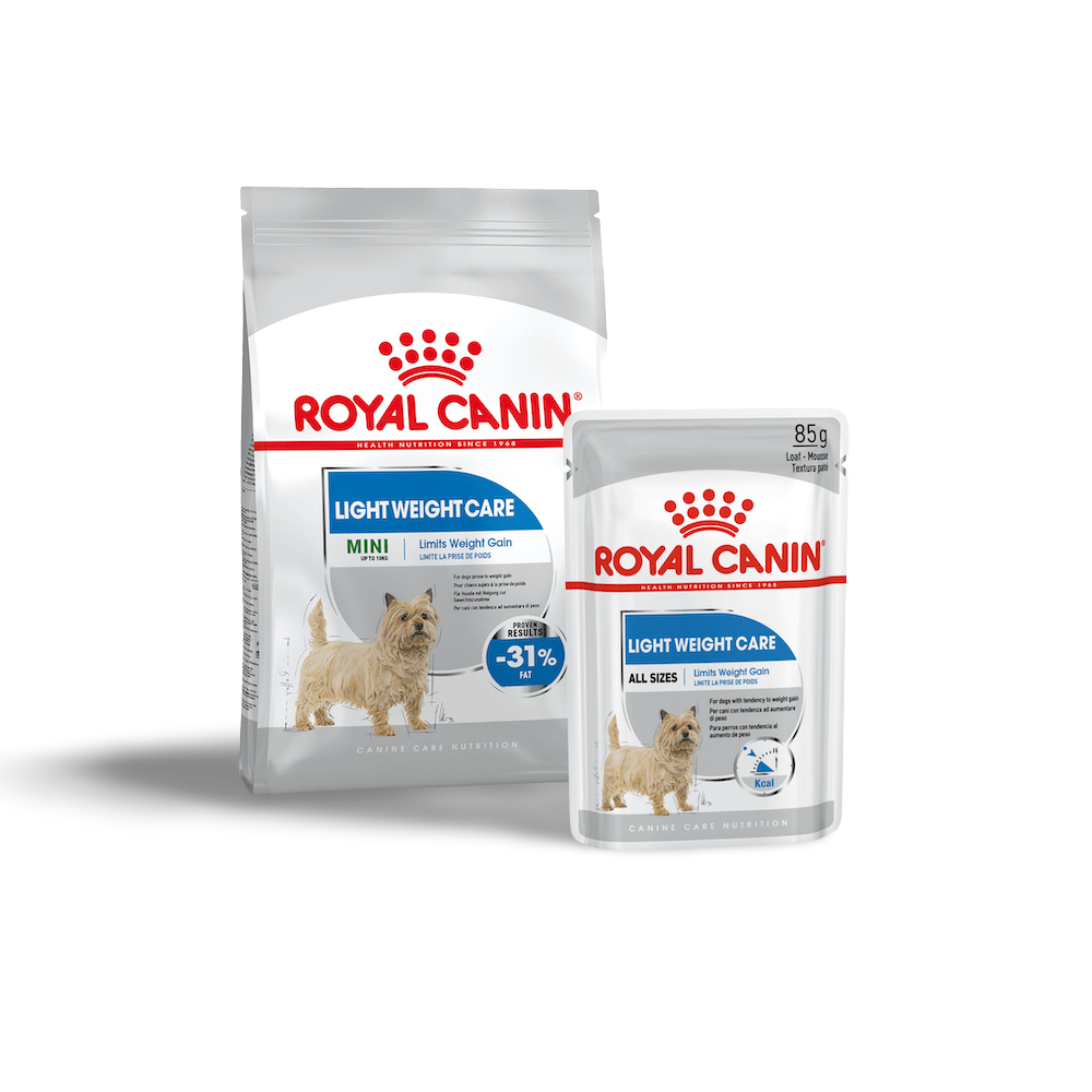 royal canin mini weight care dry dog food