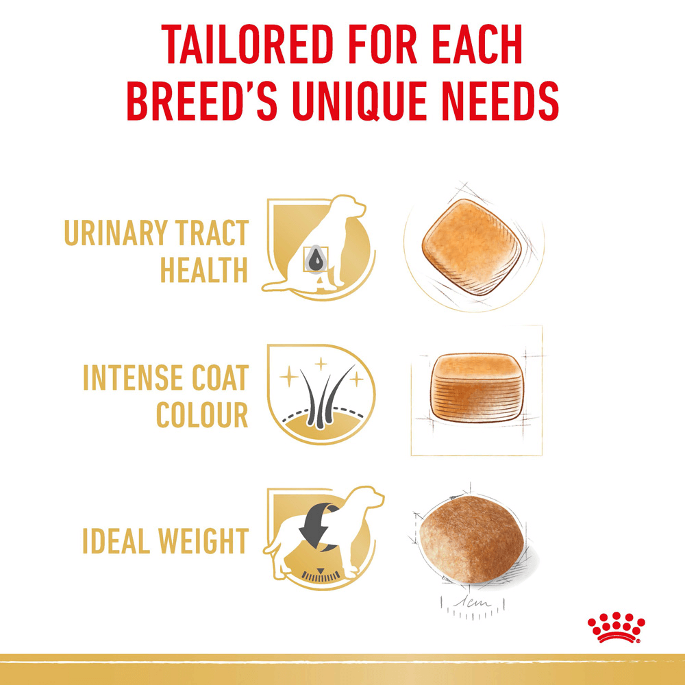 royal canin miniature schnauzer 3kg