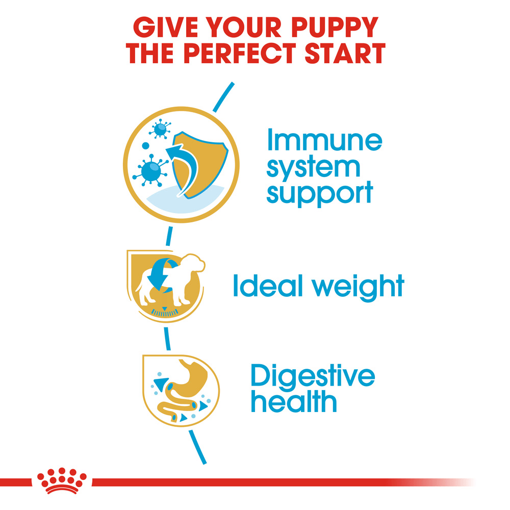 Buy Royal Canin Miniature Schnauzer Puppy Dry Dog Food Online Better