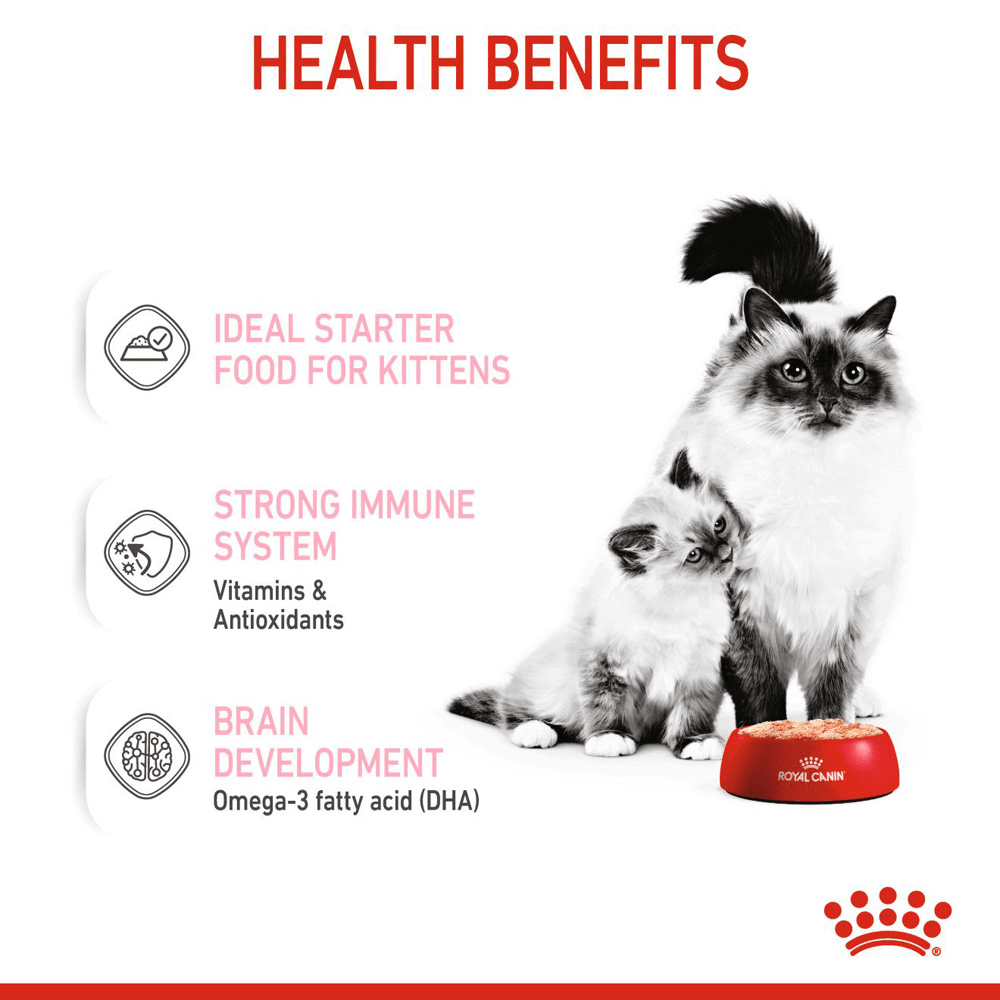 royal canin mother and baby cat wet food