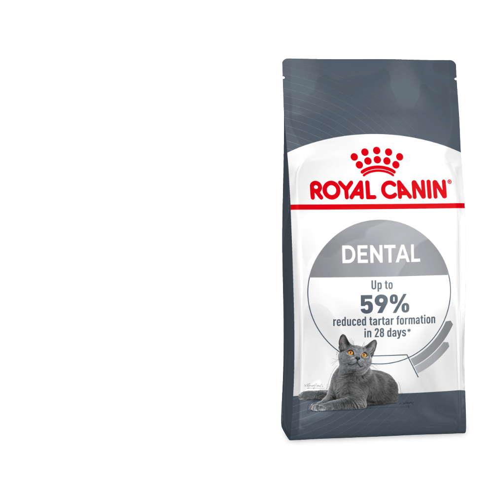 royal canin feline oral care cat food