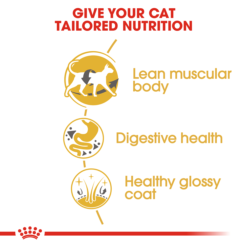 royal canin siamese 10 kg