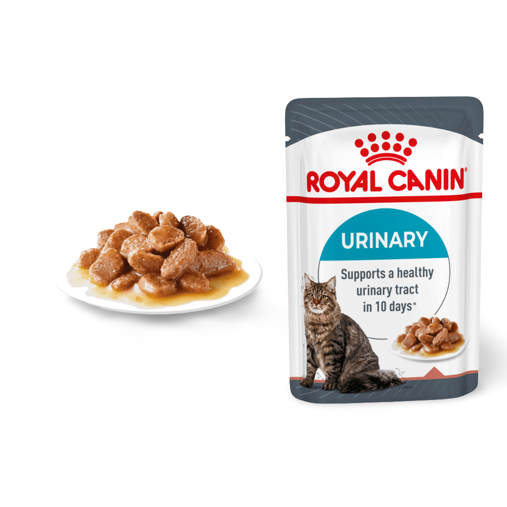 royal canin urinary wet food