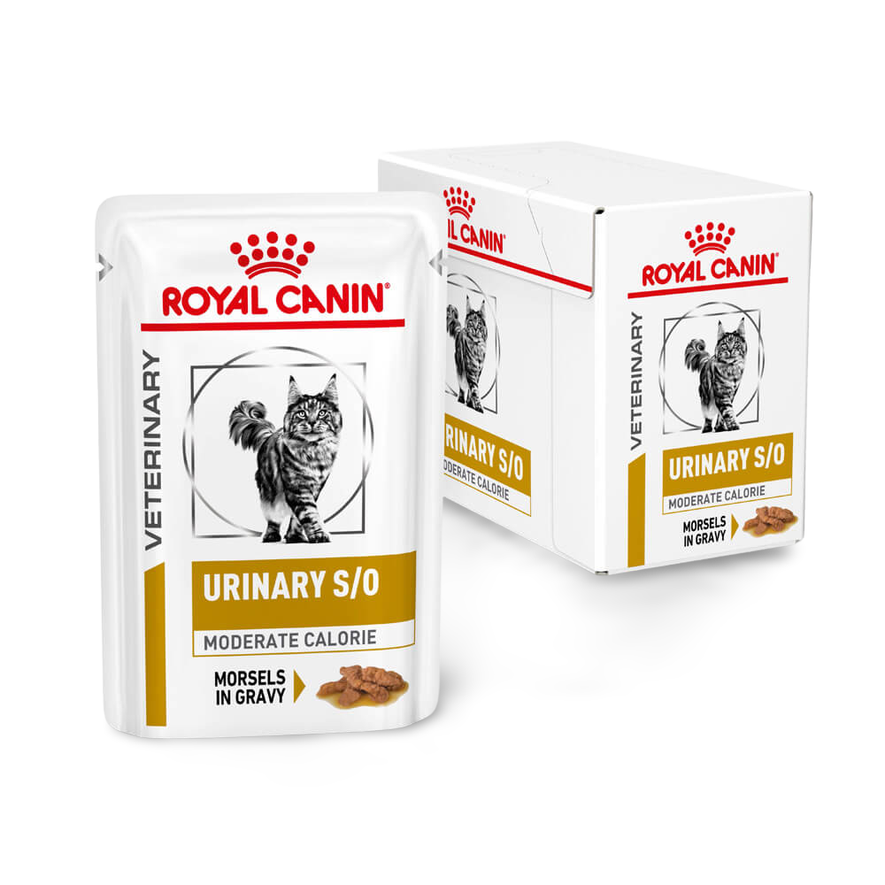 Buy Royal Canin Veterinary Diet Urinary Moderate Calorie So Wet Cat Food Pouches Online Low Prices Free Shipping Buy Royal Canin Veterinary Diet Urinary Moderate Calorie So Wet Cat Food Pouches Online Low Prices Free Shipping