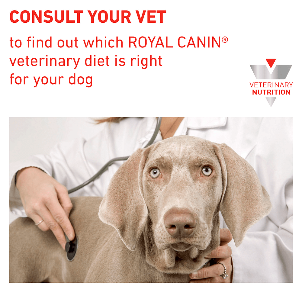 Buy Royal Canin Veterinary Urinary So Dry Dog Food Online ...