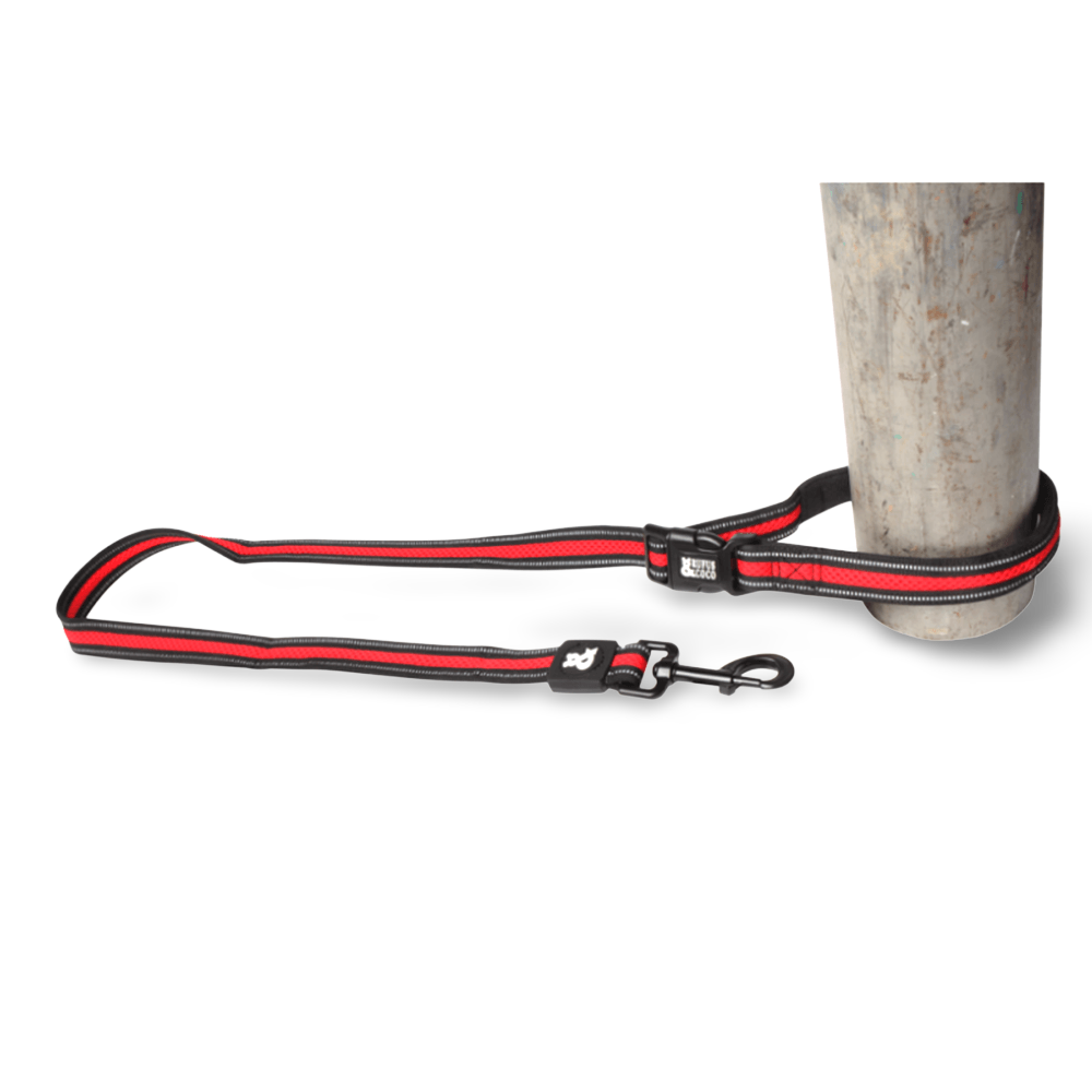 Buy Rufus And Coco Dog Lead Multi Purpose Red Online Better Prices At