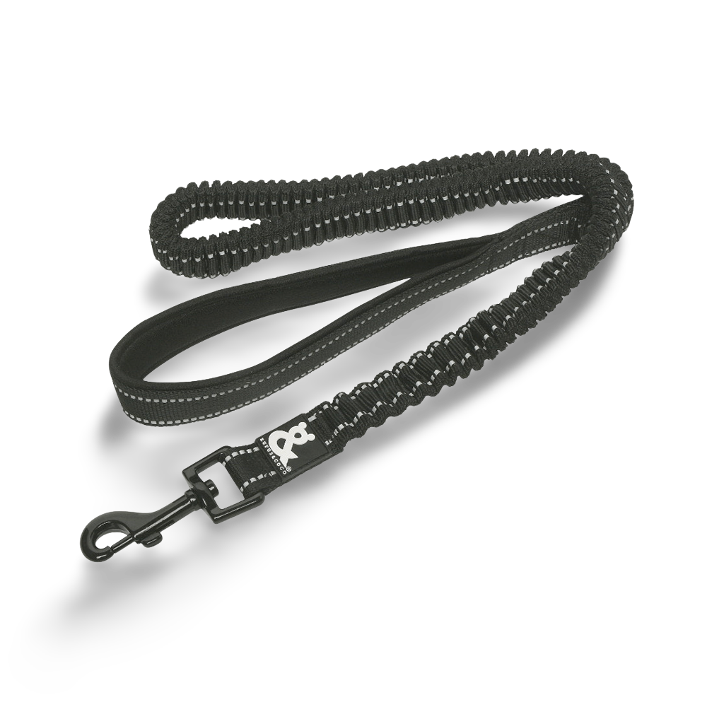 stretchy dog lead