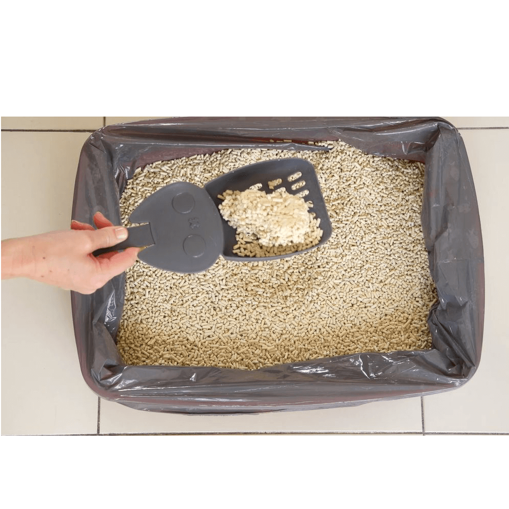 clumping corn litter