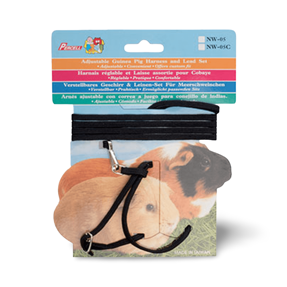 Buy Small Animal Care Harness And Lead Set Guinea Pig Black Online