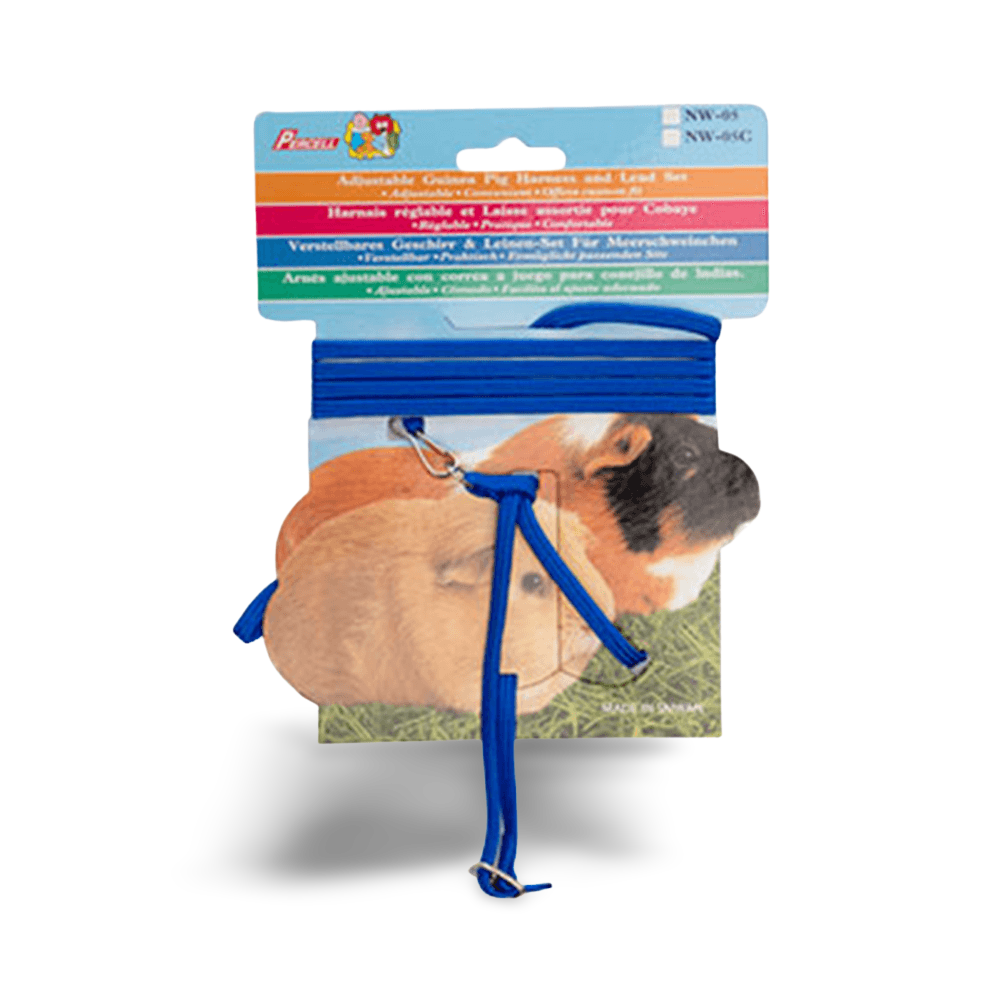Buy Small Animal Care Harness And Lead Set Guinea Pig Blue Online