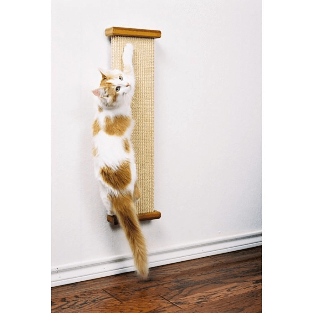 leash with two handles