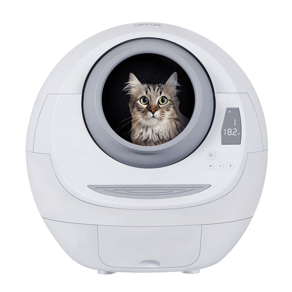 automatic kitty litter box australia
