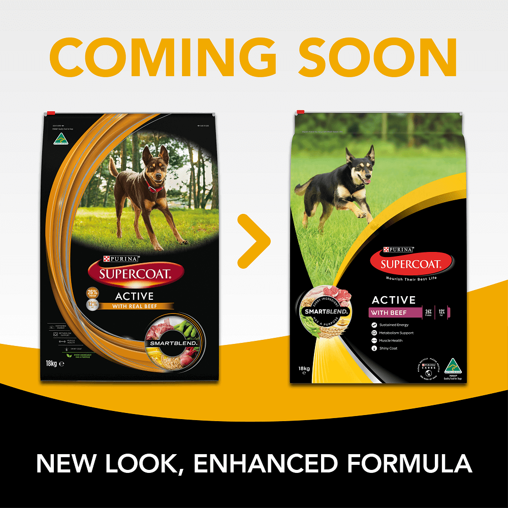 Buy Supercoat Dry Dog Food Active Adult Beef Online Better Prices At
