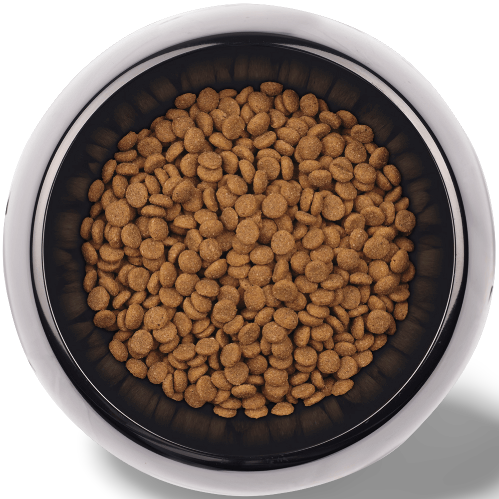 Buy Supercoat Dry Dog Food Adult Sensitive Online Better Prices At