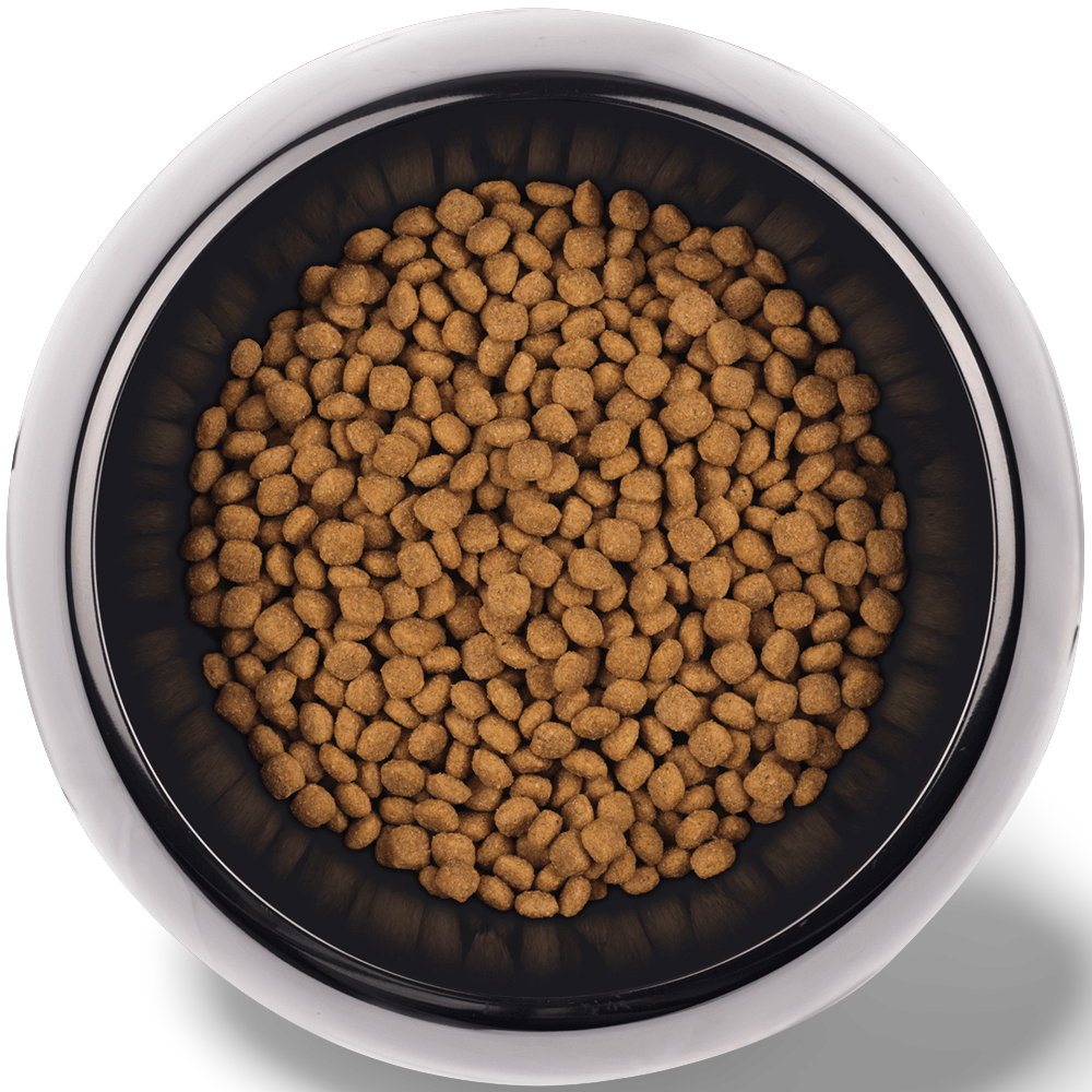 supercoat small breed