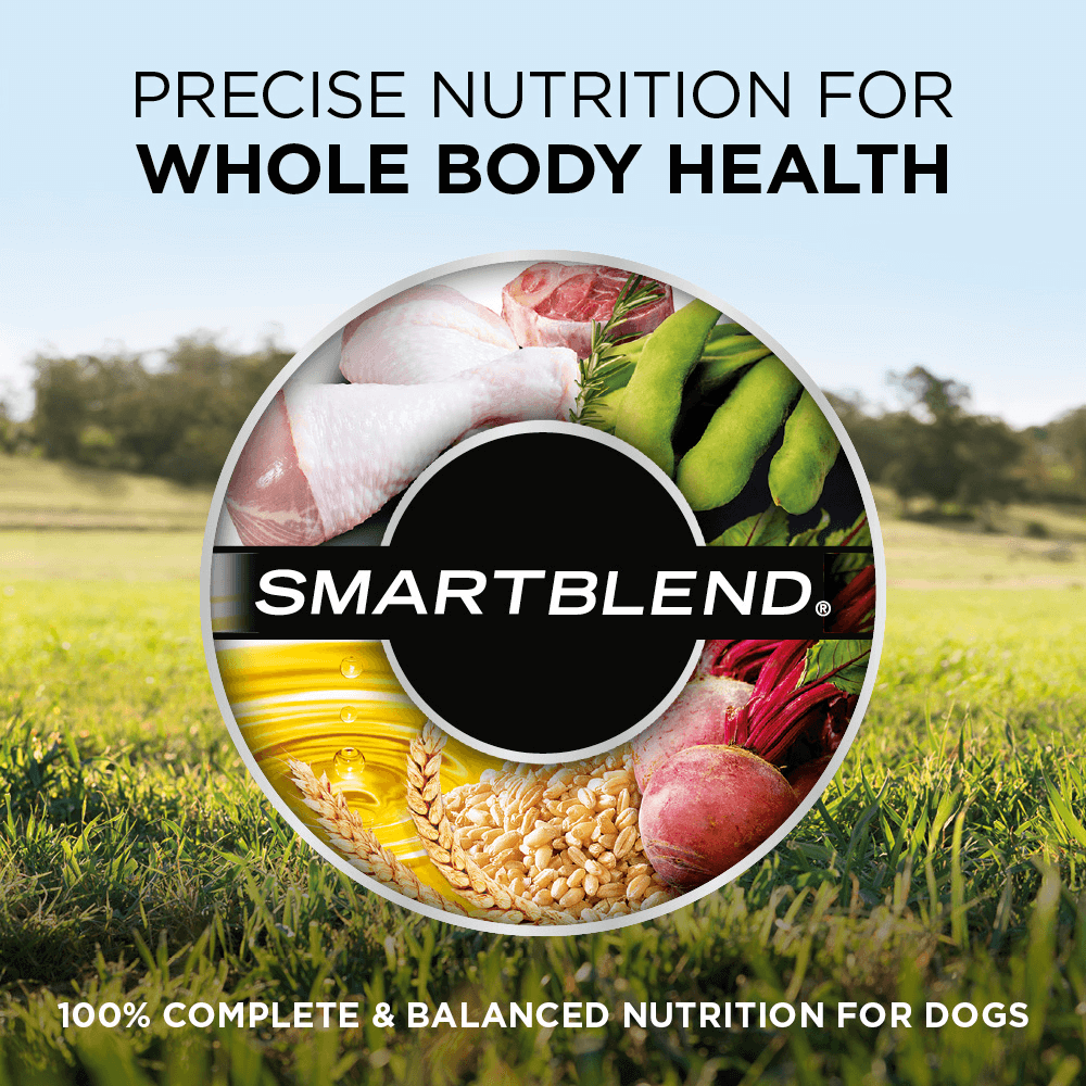 supercoat grain free