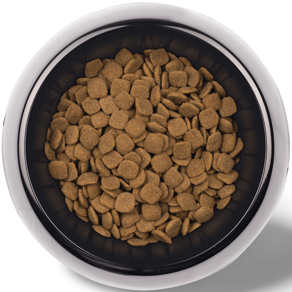Buy Supercoat Dry Dog Food Large Breed Adult Chicken Online Better