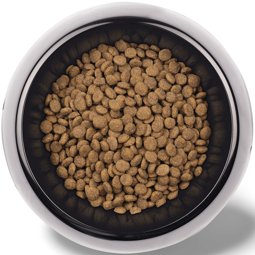 supercoat puppy biscuits