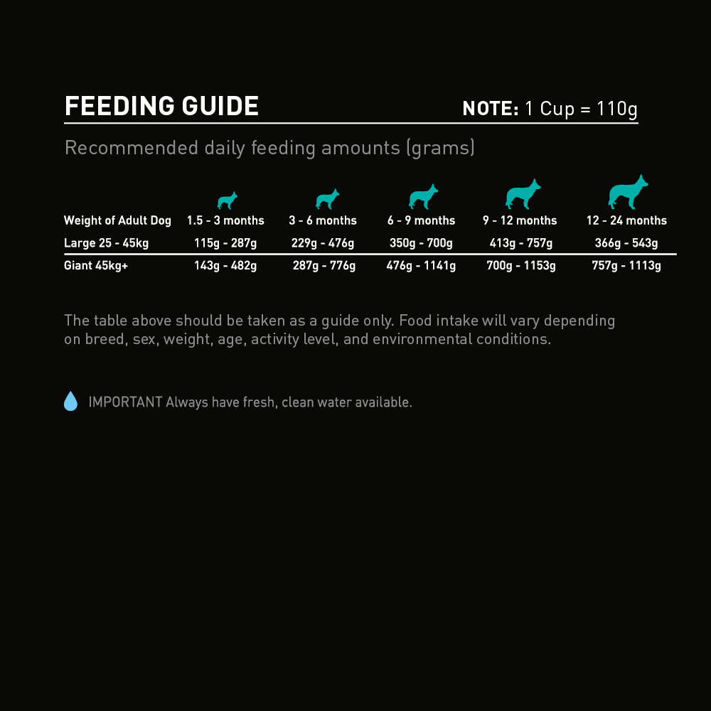 Buy Supercoat Dry Dog Food Large Breed Puppy Chicken ...