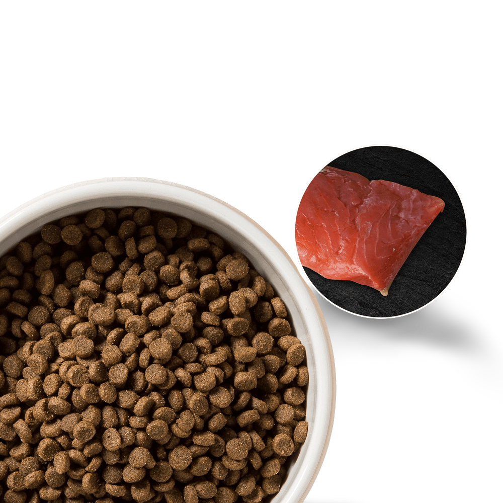 taste of the wild canyon