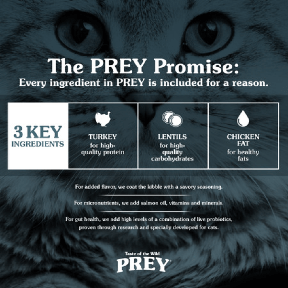 Buy Taste Of The Wild Prey Grain Free Angus Beef Dry Cat Food Online