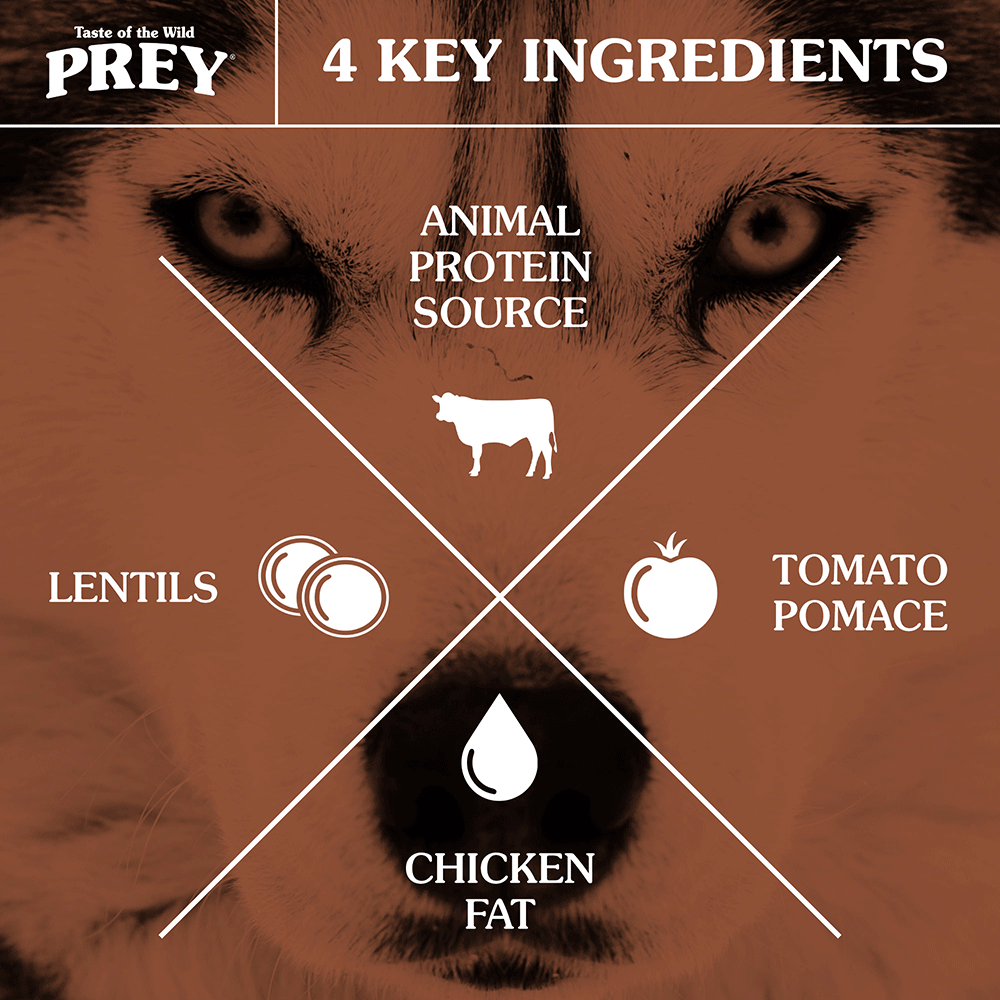 Buy Taste Of The Wild Prey Grain Free Angus Beef Dry Dog Food Online