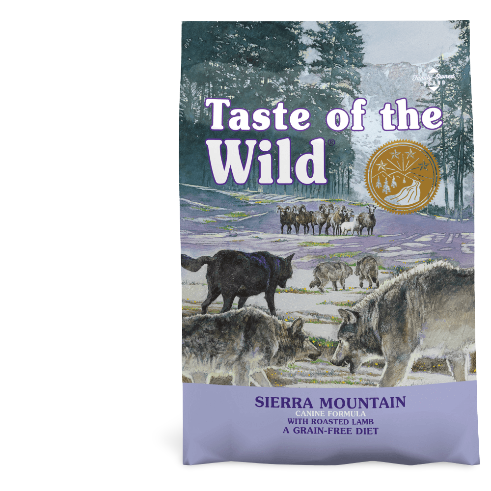 totw sierra mountain