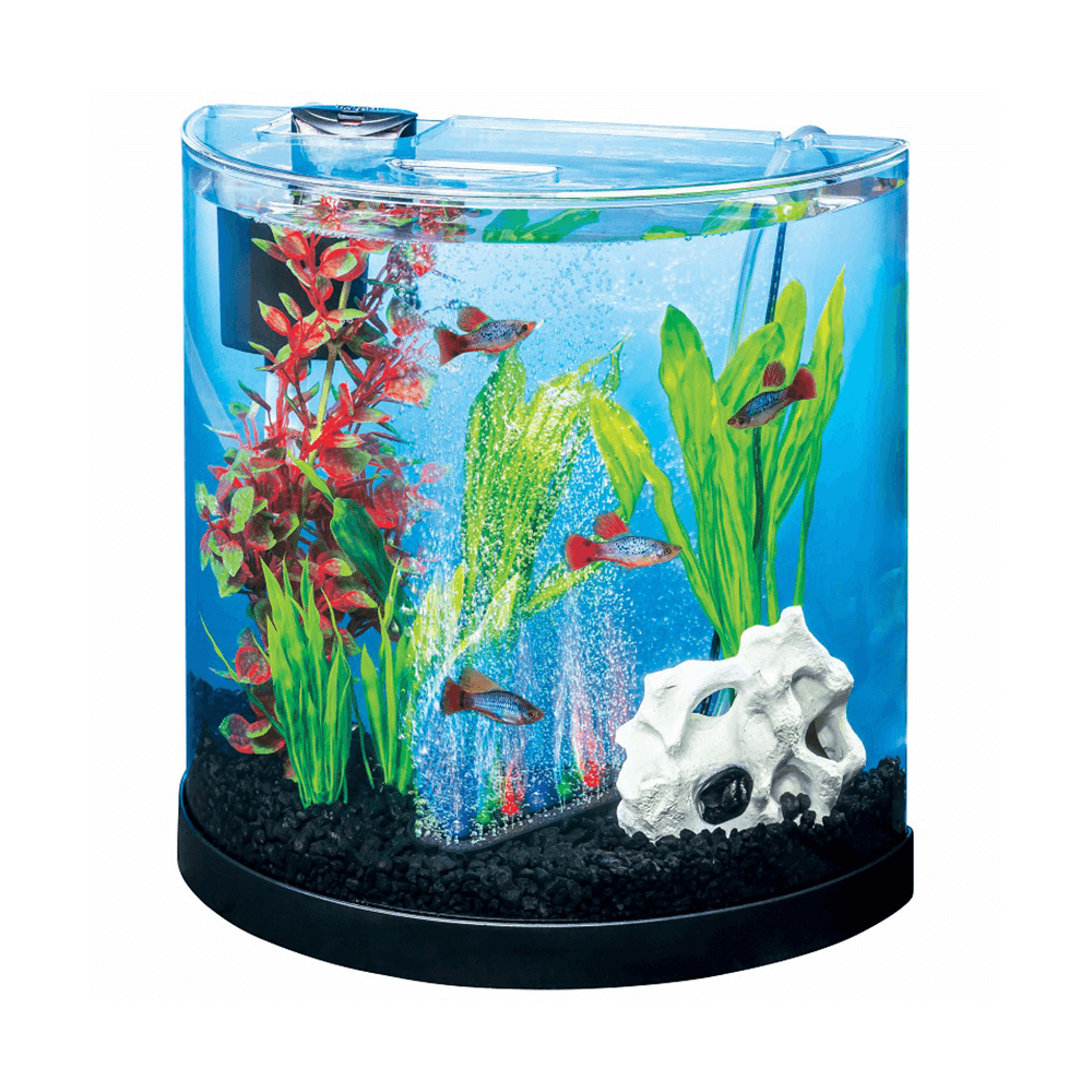 freshwater starter kit