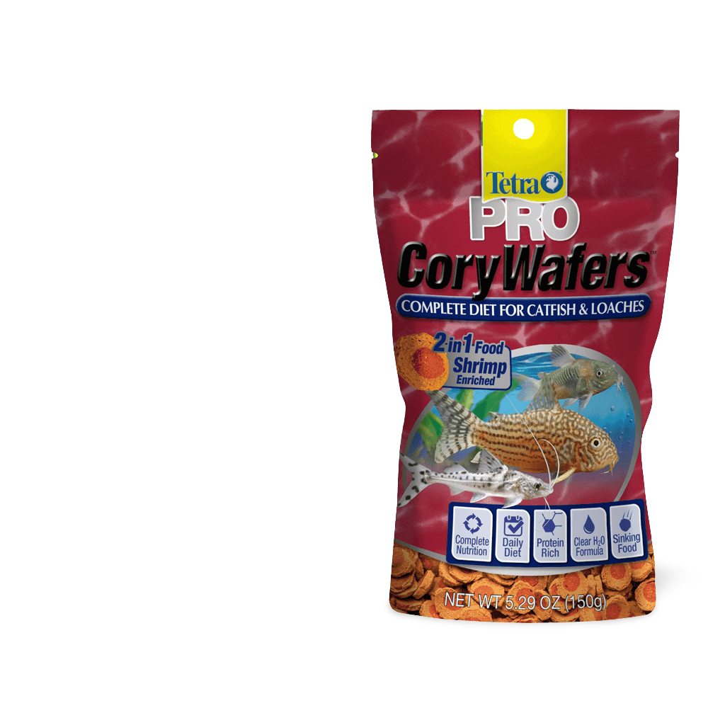 Buy Tetra Pro Corywafers Catfish Loaches Complete Diet Fish Food Online