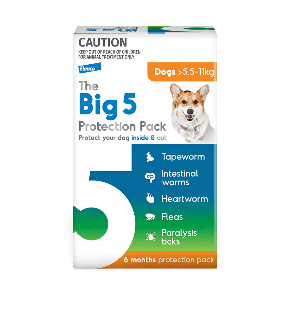 flea tick and worm medicine for dogs