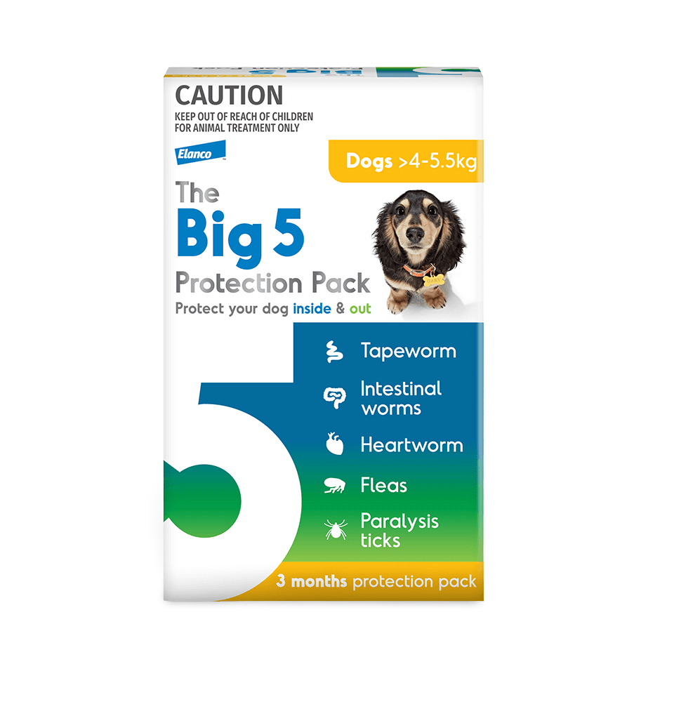 Buy The Big 5 Protection Pack Small Dog Online Low Prices Free Shipping