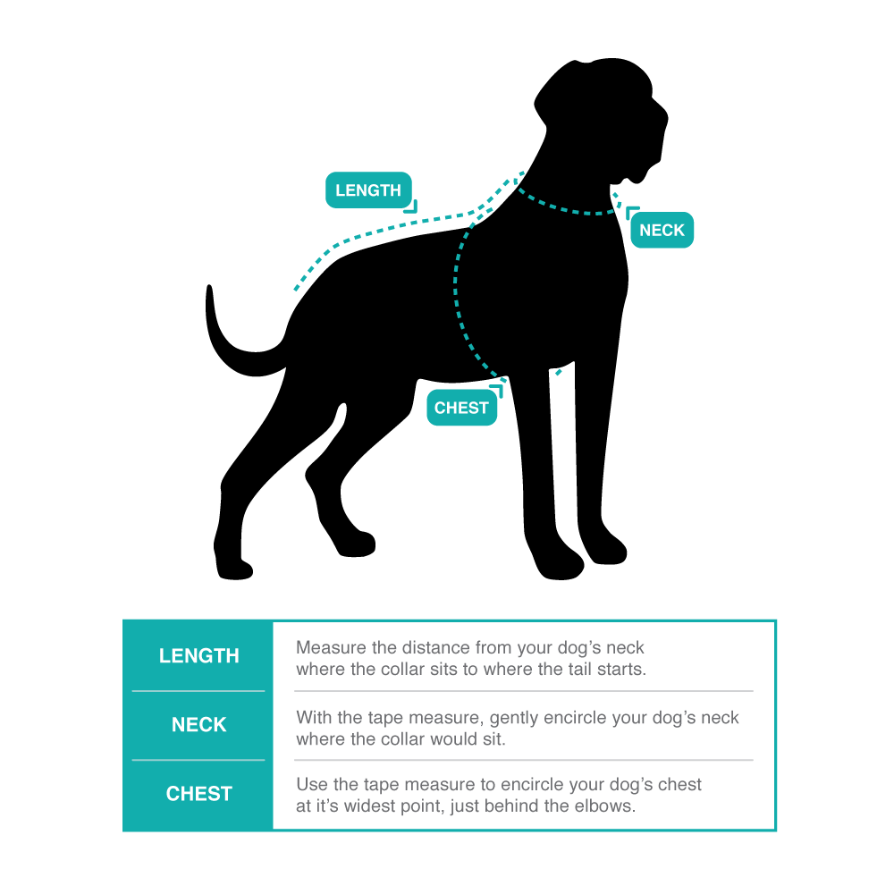 thundershirt australia