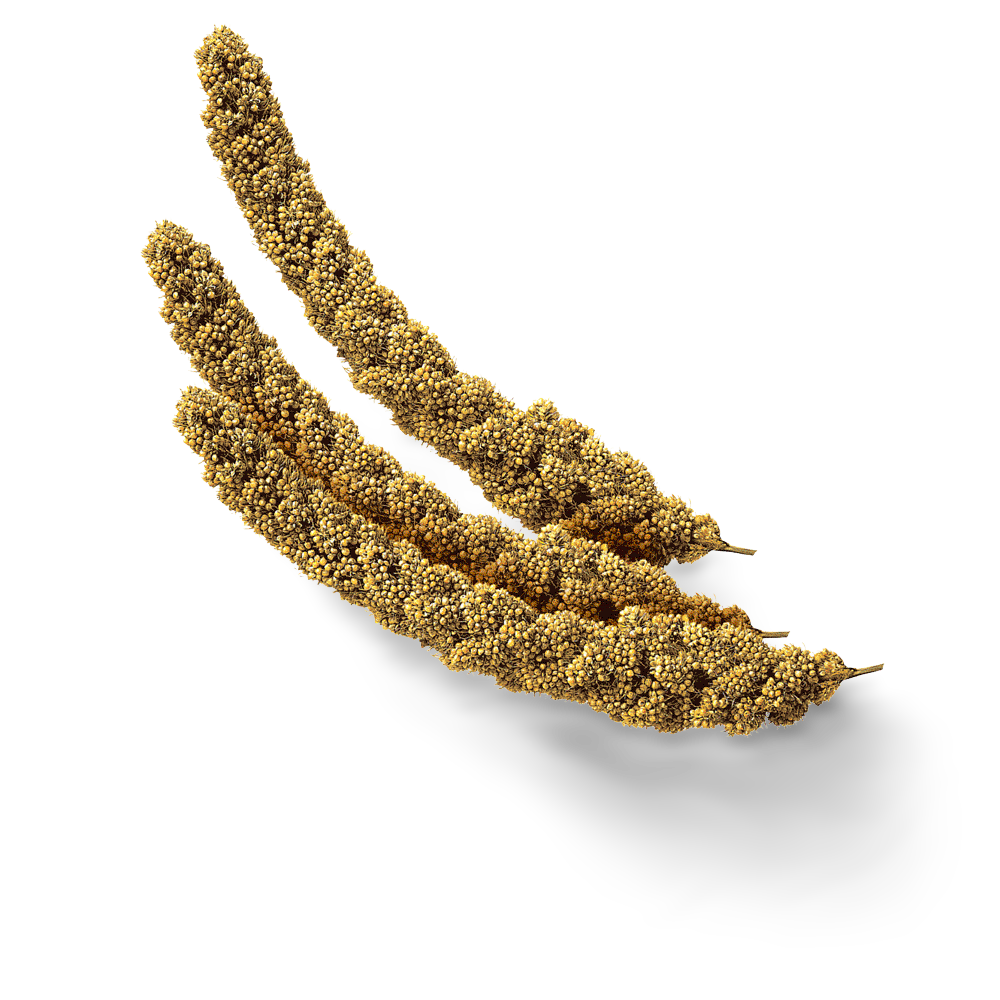 Buy Trill Millet Sprays Online Better Prices At Pet Circle