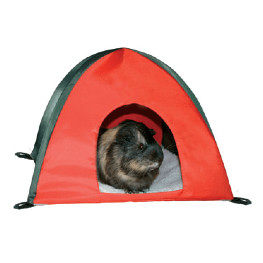 Buy Trixie Guinea Pig Tent Wigwam Online Better Prices At Pet Circle