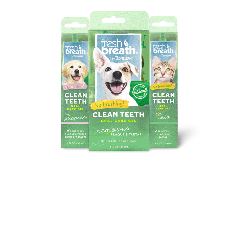 Buy Tropiclean Cat Clean Teeth Gel Online Better Prices At Pet Circle