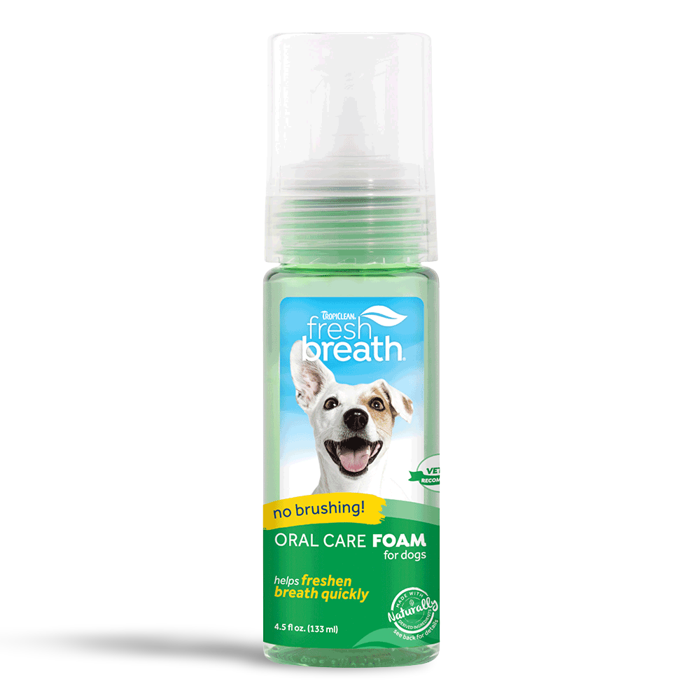 fresh breath foam for dogs