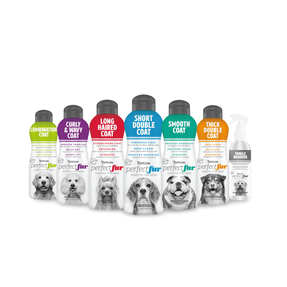 Buy Tropiclean Perfect Fur Dog Shampoo Curly And Wavy Coat Online