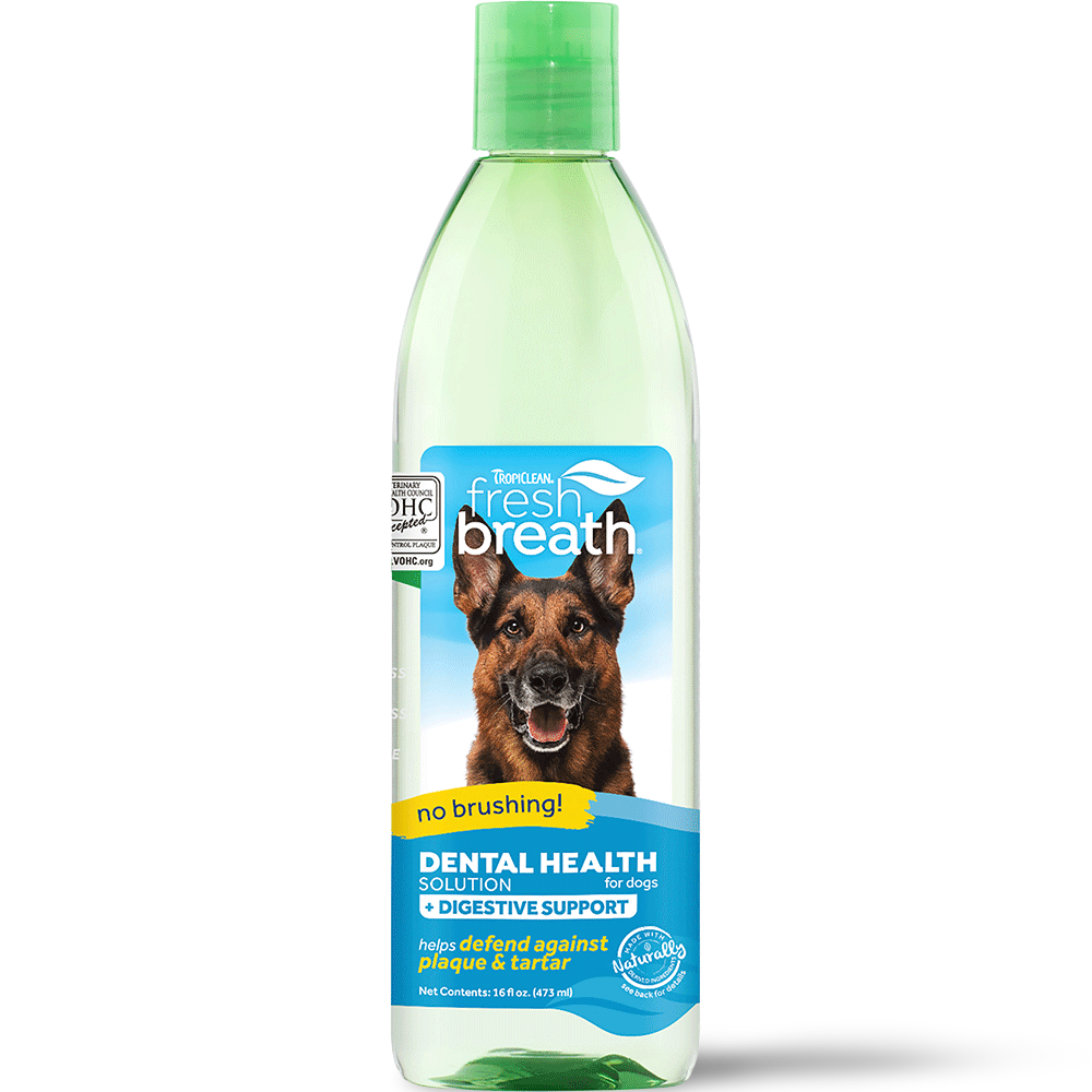 additive to water for dogs teeth