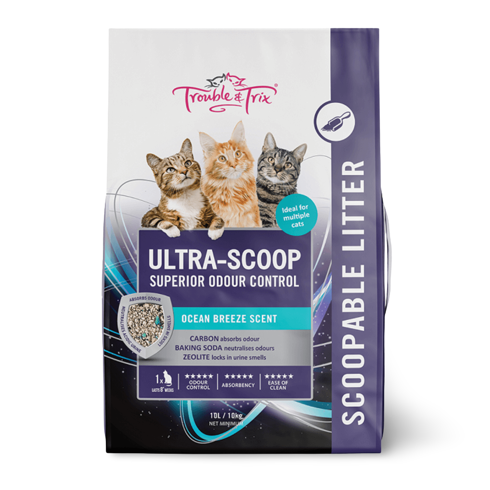 litter out of stock alternatives Pet Better with Pet Circle