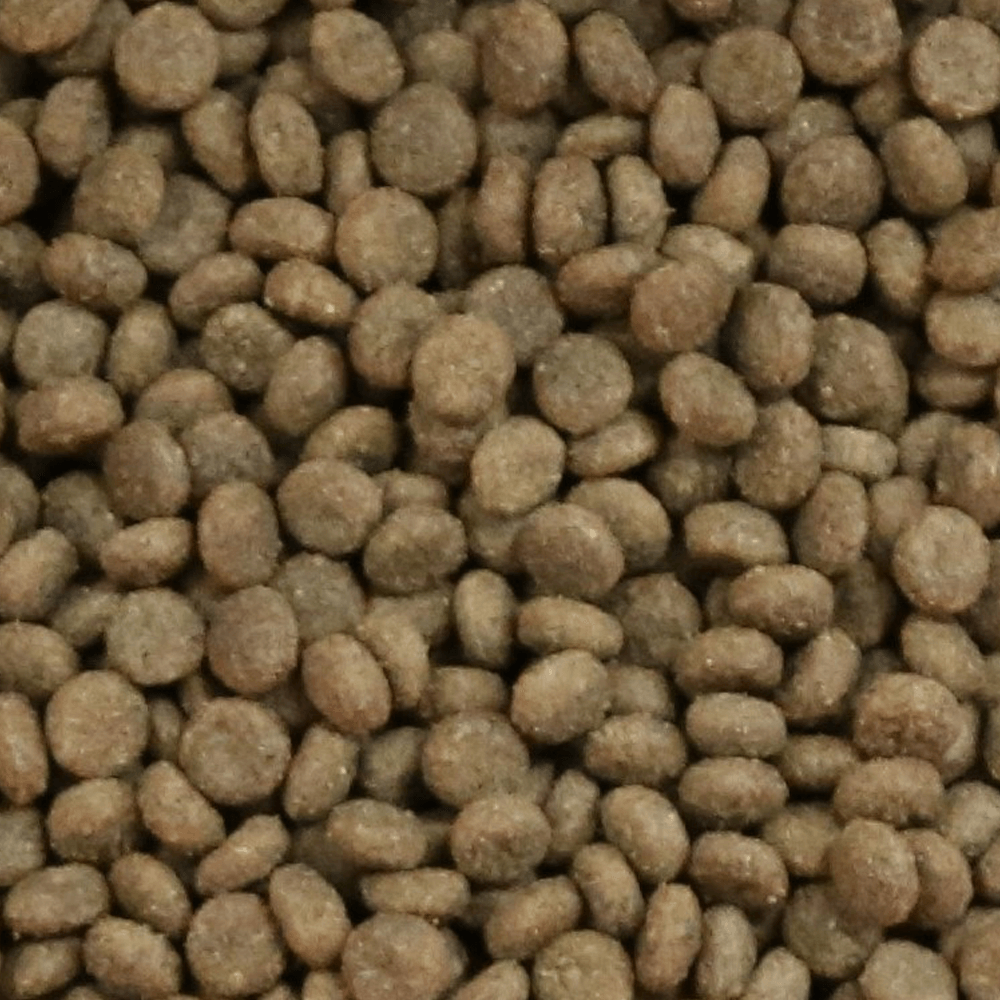 Buy Vetalogica Biologically Appropriate Adult Fishermans Feast Dry Cat Food Online Better