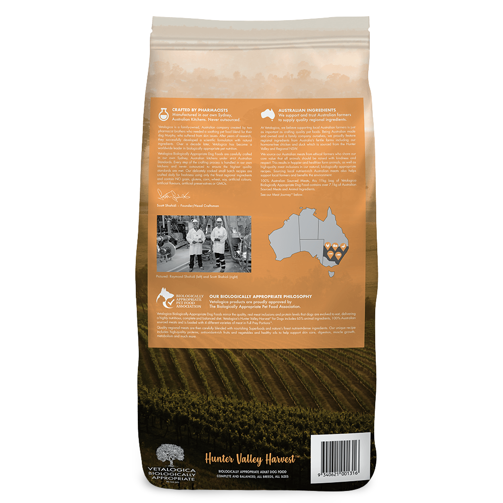 hunter kangaroo dog carrier