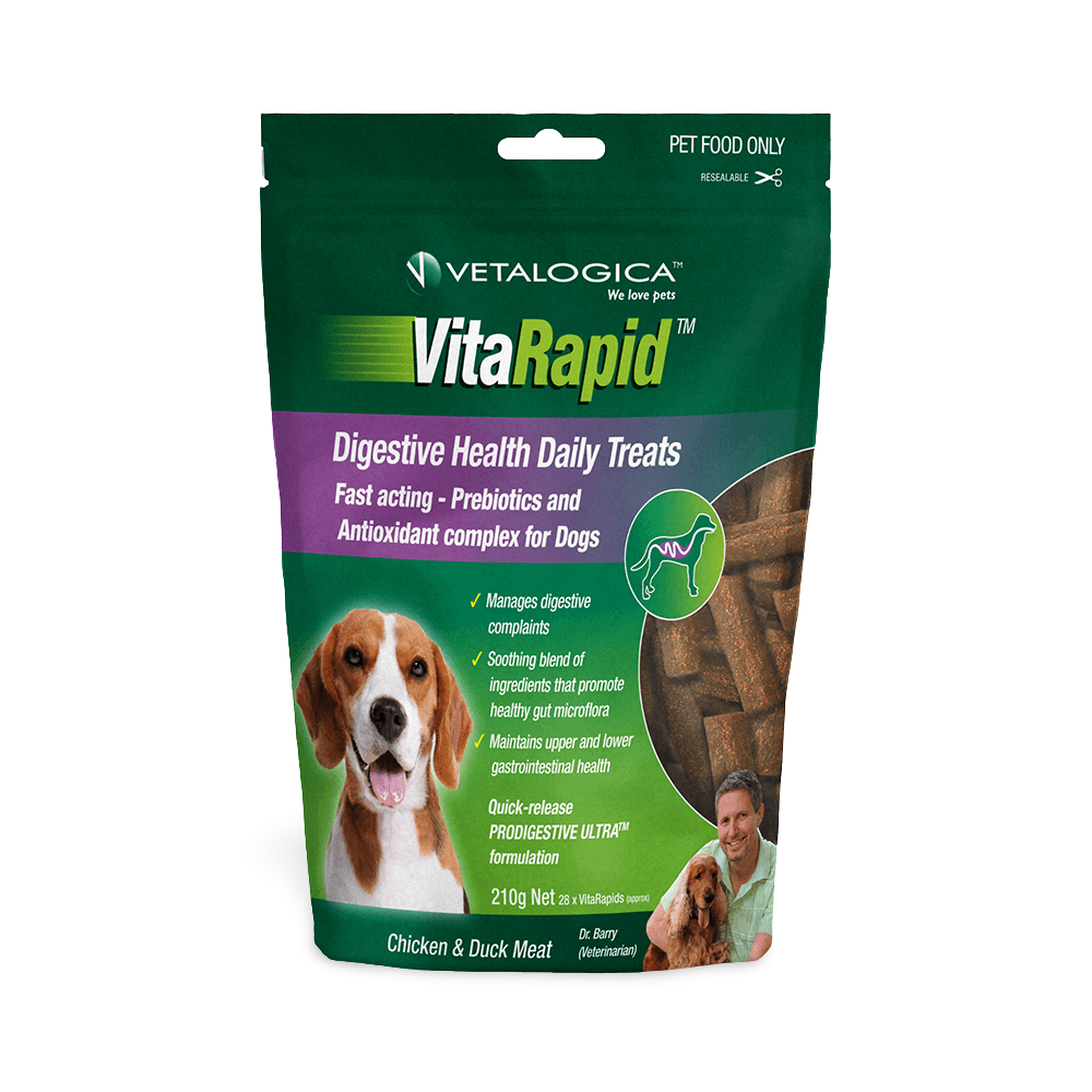 gastrointestinal dog treats