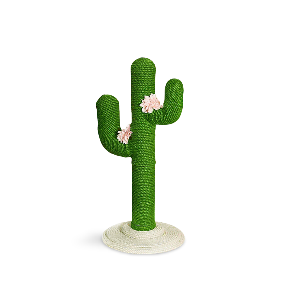 cat cactus tree