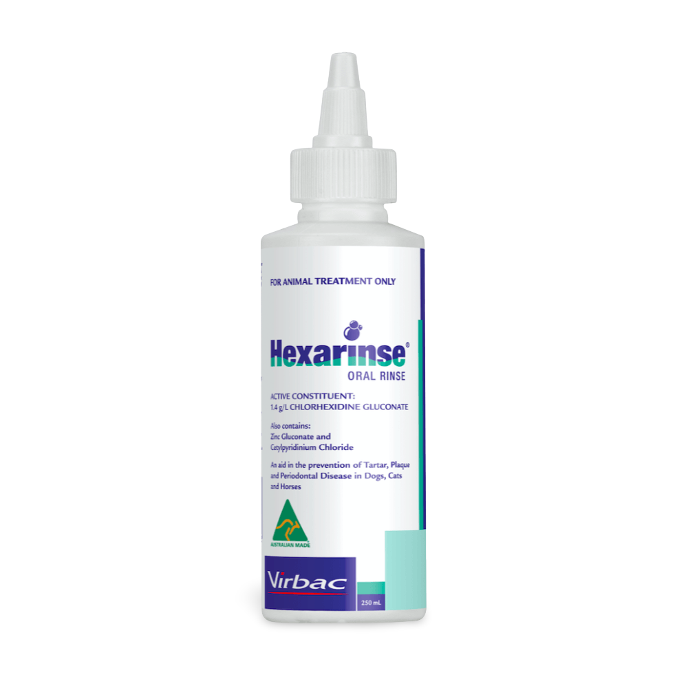 chlorhexidine dental rinse for dogs
