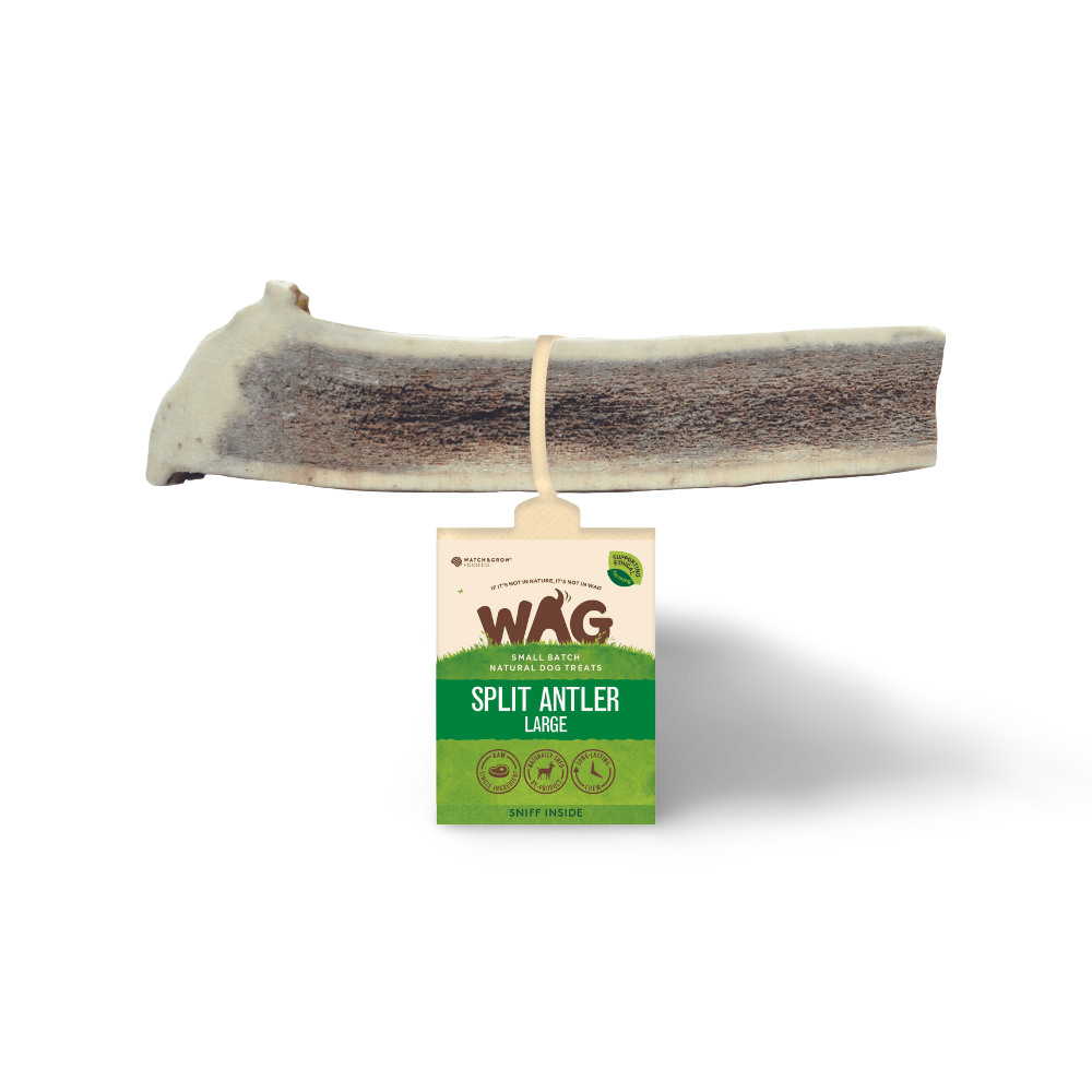 Buy Wag Dog Treats Antler Split Online Better Prices At Pet Circle