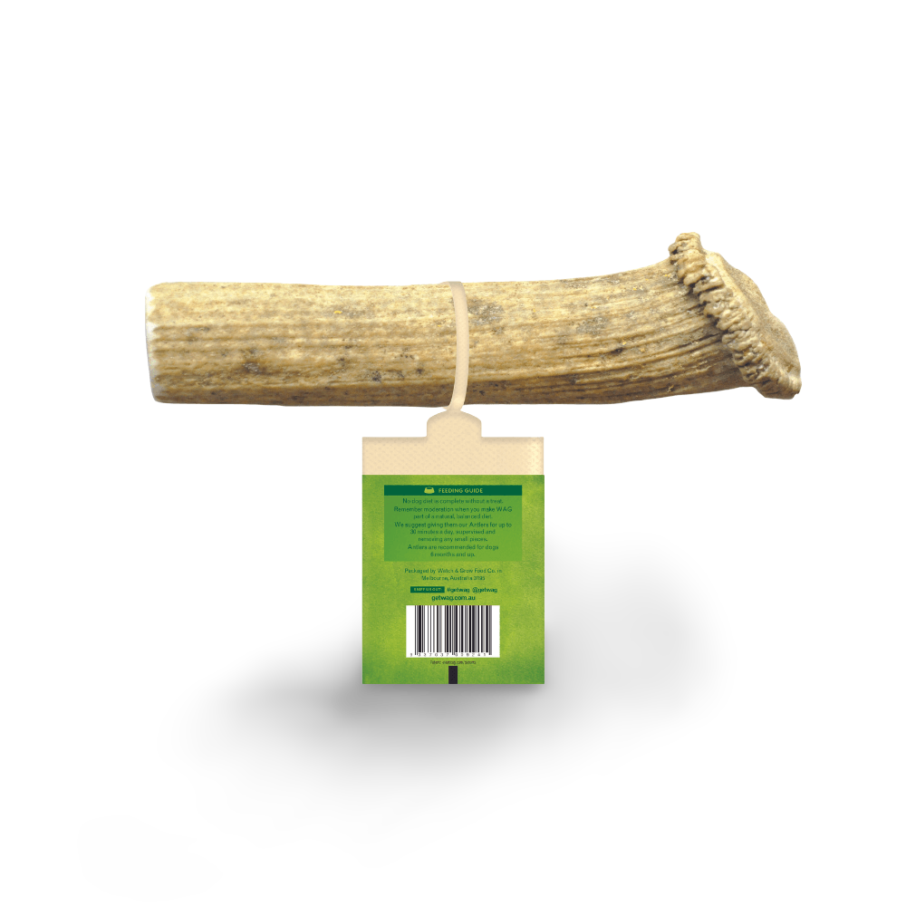 split antlers for puppies