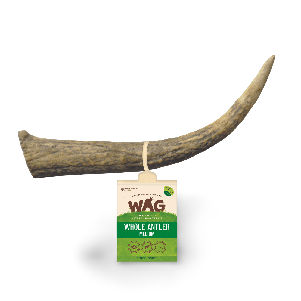 antler bones for puppies