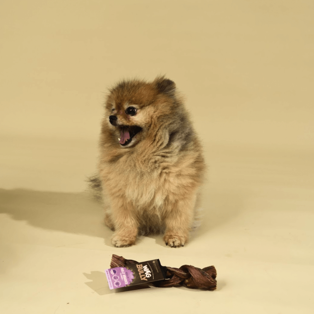 Buy Wag Dog Treats Bully Stick Braided Online Better Prices At Pet Circle